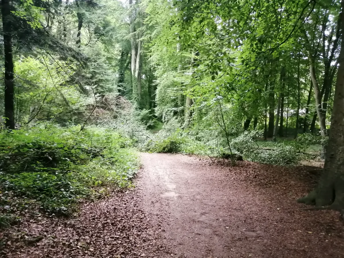 Espace bois d’Etennemare