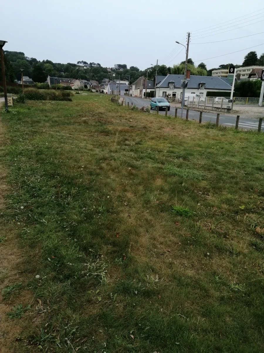 Fleurissement à Saint Valery-en-Caux