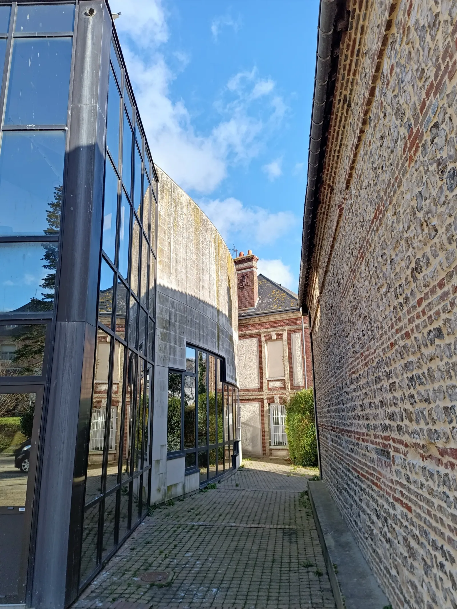 Toiture du Rayon Vert infestée de fientes de mouettes acides déstructurant les ardoises